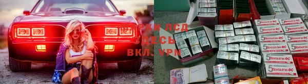 ПСИЛОЦИБИНОВЫЕ ГРИБЫ Лабытнанги