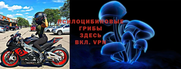 ПСИЛОЦИБИНОВЫЕ ГРИБЫ Лабытнанги