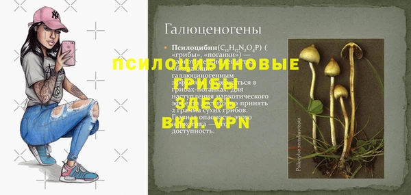 ПСИЛОЦИБИНОВЫЕ ГРИБЫ Лабытнанги