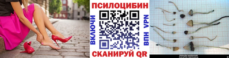 hydra зеркало  Пятигорск  Псилоцибиновые грибы GOLDEN TEACHER 