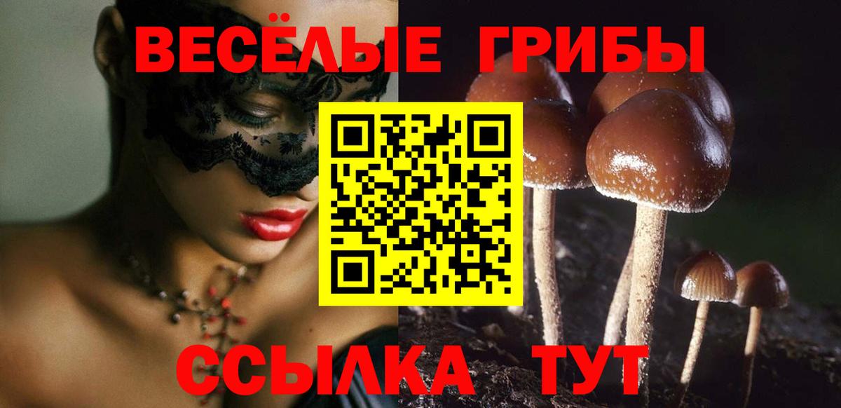 сколько стоит  Псилоцибиновые грибы GOLDEN TEACHER  Пятигорск  Вход с VPN  Псилоцибиновые грибы Psilocybine cubensis 