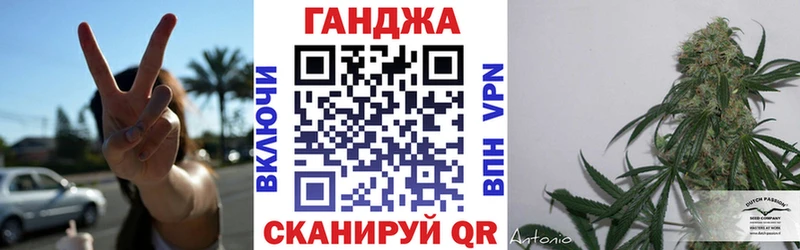 Канабис планчик  где можно купить наркотик  Пятигорск 